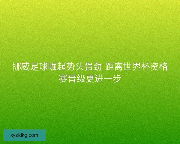 挪威足球崛起势头强劲 距离世界杯资格赛晋级更进一步