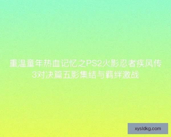 重温童年热血记忆之PS2火影忍者疾风传3对决篇五影集结与羁绊激战