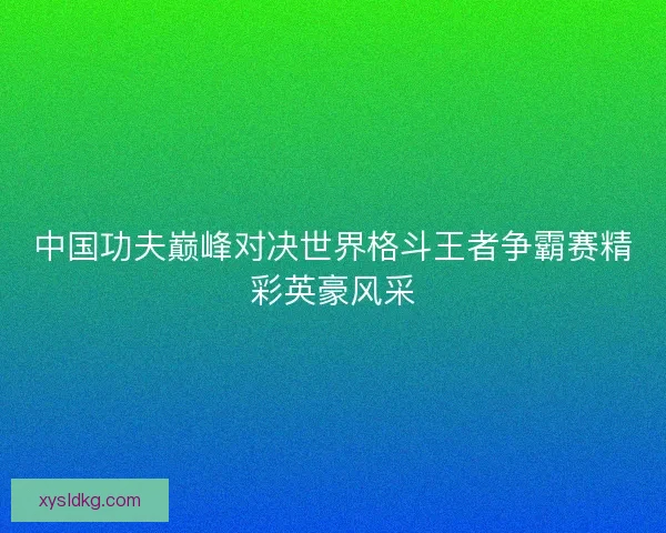 中国功夫巅峰对决世界格斗王者争霸赛精彩英豪风采